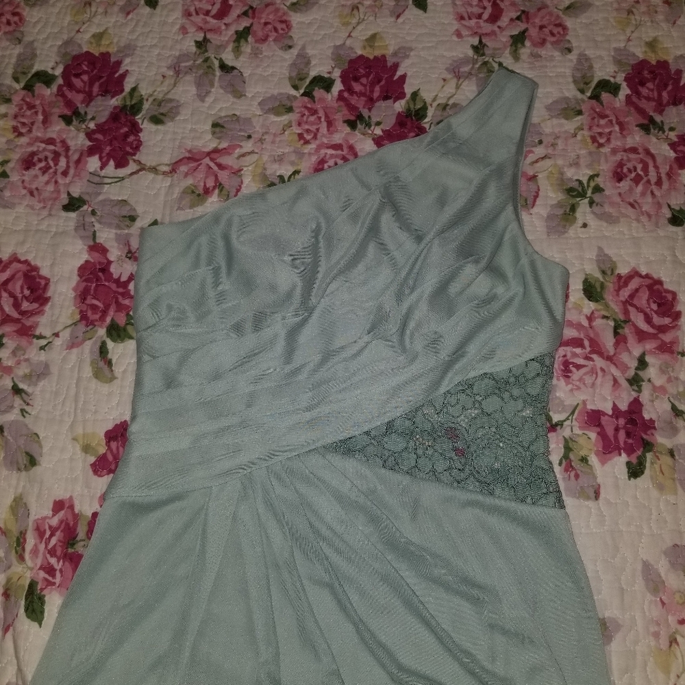 Bridesmaid's dress from David's Bridal.